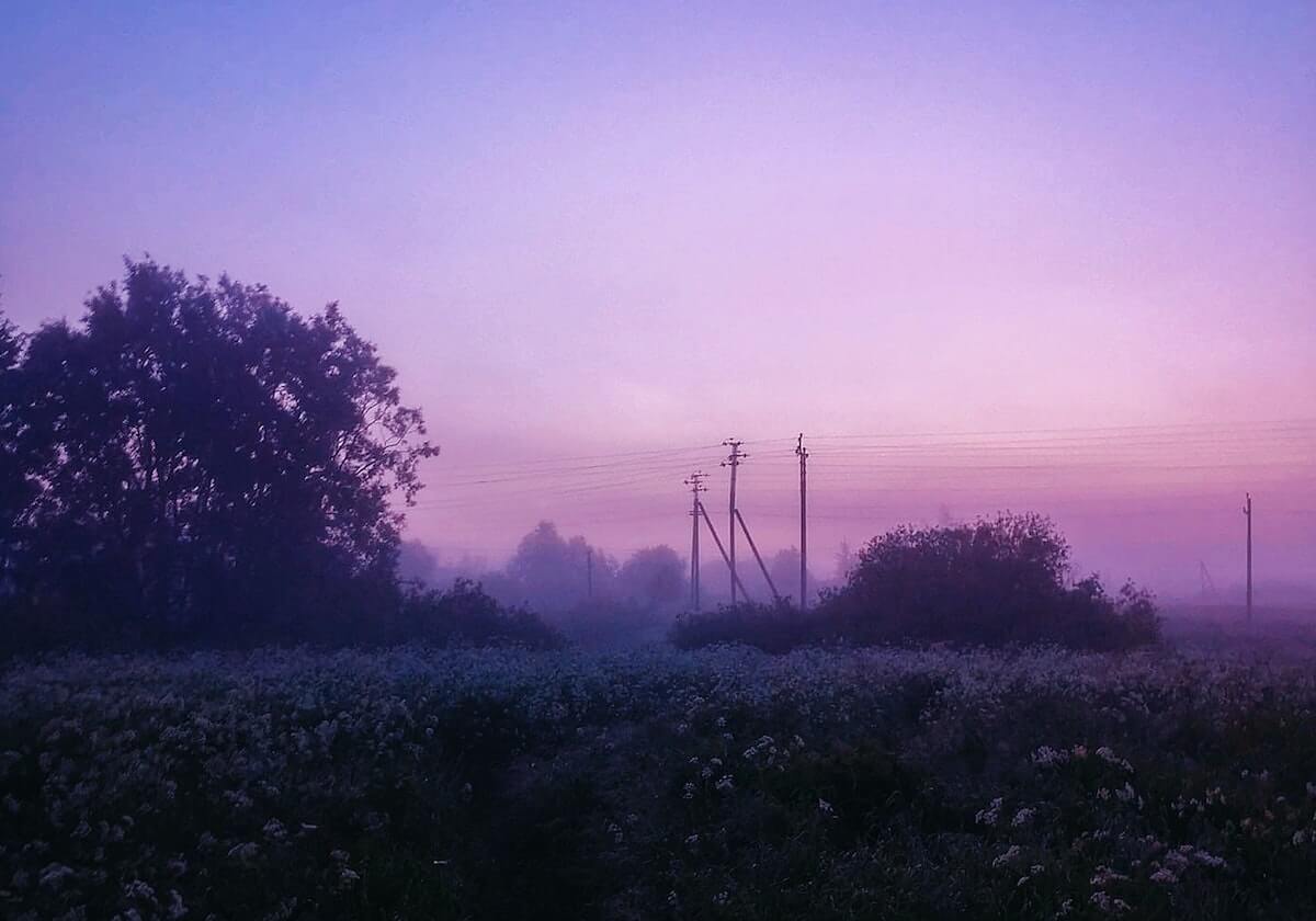 APP下载-利雅得胜利晒队内庆祝马内非洲杯夺冠，C罗为他切蛋糕